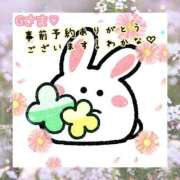 ヒメ日記 2025/05/08 01:13 投稿 わかな 三重松阪ちゃんこ