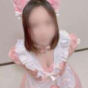 ヒメ日記 2025/05/08 09:03 投稿 わかな 三重松阪ちゃんこ