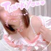 ヒメ日記 2025/10/08 18:33 投稿 わかな 三重松阪ちゃんこ