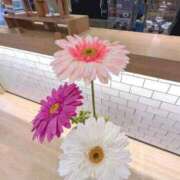 ヒメ日記 2025/10/13 11:43 投稿 わかな 三重松阪ちゃんこ