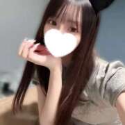 ヒメ日記 2025/11/14 12:52 投稿 かなた 姫コレクション