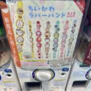 ヒメ日記 2025/04/05 16:55 投稿 あずさ先生 女教師