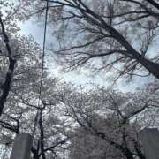 ヒメ日記 2025/04/07 09:25 投稿 あずさ先生 女教師