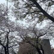 ヒメ日記 2025/04/11 09:35 投稿 あずさ先生 女教師