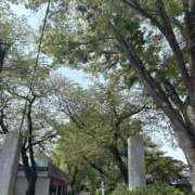 ヒメ日記 2025/04/21 09:45 投稿 あずさ先生 女教師