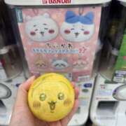 ヒメ日記 2025/05/14 07:55 投稿 あずさ先生 女教師