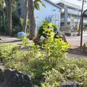 ヒメ日記 2025/05/29 07:55 投稿 あずさ先生 女教師