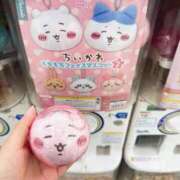 ヒメ日記 2025/08/19 07:45 投稿 あずさ先生 女教師