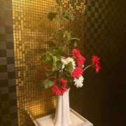 ヒメ日記 2025/08/20 20:54 投稿 あずさ先生 女教師