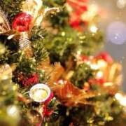 高月 はな 12/21日曜　時間伸ばしました(*´꒳`*) SUMIRE