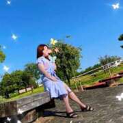 ヒメ日記 2025/03/11 16:12 投稿 木村 優希 こあくまな熟女たち豊橋店（KOAKUMAグループ）