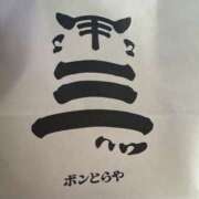 ヒメ日記 2025/04/28 12:05 投稿 木村 優希 こあくまな熟女たち豊橋店（KOAKUMAグループ）