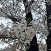 ヒメ日記 2025/04/07 18:05 投稿 ちょこ Hip's千葉駅前店