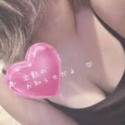 ヒメ日記 2025/04/28 19:54 投稿 ちょこ Hip's千葉駅前店