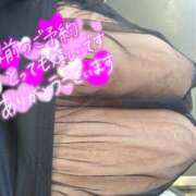 ヒメ日記 2025/05/03 08:46 投稿 ちょこ Hip's千葉駅前店