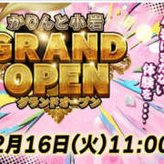 ヒメ日記 2025/12/14 09:05 投稿 みづき かりんと秋葉原