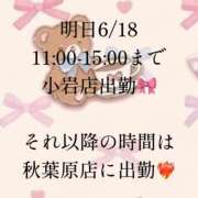 ヒメ日記 2026/06/17 16:54 投稿 みづき かりんと秋葉原