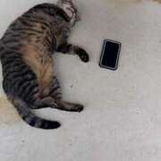 ヒメ日記 2025/11/26 08:18 投稿 あや 人妻パラダイス