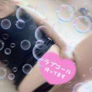 ヒメ日記 2025/04/01 10:25 投稿 つばき 町田人妻城