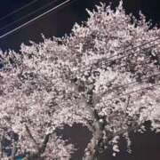 ヒメ日記 2025/04/06 00:22 投稿 つばき 町田人妻城