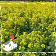 ヒメ日記 2025/03/18 16:48 投稿 松風　凛 Eureka！EGOIST～エゴイスト～-美とエロスの饗宴