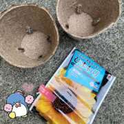 ヒメ日記 2025/05/17 14:36 投稿 松風　凛 Eureka！EGOIST～エゴイスト～-美とエロスの饗宴