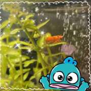 ヒメ日記 2025/05/21 18:10 投稿 松風　凛 Eureka！EGOIST～エゴイスト～-美とエロスの饗宴