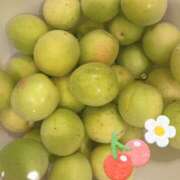 ヒメ日記 2025/06/26 06:23 投稿 松風　凛 Eureka！EGOIST～エゴイスト～-美とエロスの饗宴