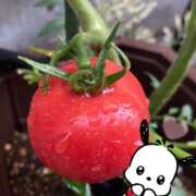 ヒメ日記 2025/07/04 20:58 投稿 松風　凛 Eureka！EGOIST～エゴイスト～-美とエロスの饗宴