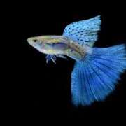 ヒメ日記 2025/10/03 19:34 投稿 松風　凛 Eureka！EGOIST～エゴイスト～-美とエロスの饗宴