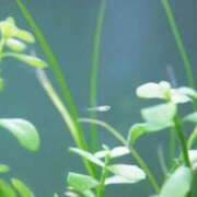 ヒメ日記 2025/10/22 21:44 投稿 松風　凛 Eureka！EGOIST～エゴイスト～-美とエロスの饗宴