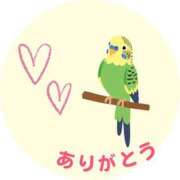 ヒメ日記 2025/11/12 20:29 投稿 松風　凛 Eureka！EGOIST～エゴイスト～-美とエロスの饗宴