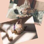 ヒメ日記 2025/11/26 19:35 投稿 松風　凛 Eureka！EGOIST～エゴイスト～-美とエロスの饗宴