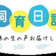 ヒメ日記 2025/11/27 21:25 投稿 松風　凛 Eureka！EGOIST～エゴイスト～-美とエロスの饗宴
