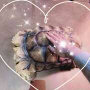 ヒメ日記 2025/12/03 18:05 投稿 松風　凛 Eureka！EGOIST～エゴイスト～-美とエロスの饗宴