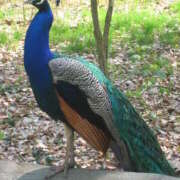 ヒメ日記 2025/12/28 17:58 投稿 松風　凛 Eureka！EGOIST～エゴイスト～-美とエロスの饗宴