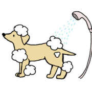 ヒメ日記 2026/04/14 15:57 投稿 松風　凛 Eureka！EGOIST～エゴイスト～-美とエロスの饗宴