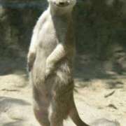 ヒメ日記 2025/04/04 18:35 投稿 雪村　あおい Eureka！EGOIST～エゴイスト～-美とエロスの饗宴