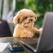 ヒメ日記 2025/08/30 22:21 投稿 雪村　あおい Eureka！EGOIST～エゴイスト～-美とエロスの饗宴