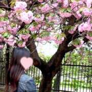 ヒメ日記 2026/04/20 19:15 投稿 みなみ ていくぷらいど.学園