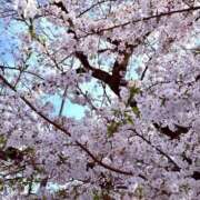 ヒメ日記 2025/04/12 22:11 投稿 あいな ナイトヴィーナス