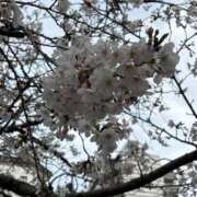 ヒメ日記 2025/03/28 18:55 投稿 るい 錦糸町ミセスアロマ（ユメオト）