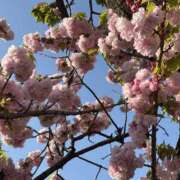 ヒメ日記 2025/04/21 21:30 投稿 るい 錦糸町ミセスアロマ（ユメオト）