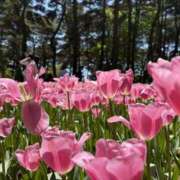 ヒメ日記 2025/05/01 02:00 投稿 るい 錦糸町ミセスアロマ（ユメオト）