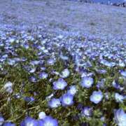 ヒメ日記 2025/05/19 21:46 投稿 るい 錦糸町ミセスアロマ（ユメオト）