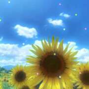 ヒメ日記 2025/08/19 21:43 投稿 るい 錦糸町ミセスアロマ（ユメオト）