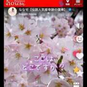 ヒメ日記 2025/04/06 01:11 投稿 ななせ【伝説人気姫奇跡の復帰】 Beppin house