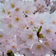 ヒメ日記 2025/07/14 17:20 投稿 ななせ【伝説人気姫奇跡の復帰】 Beppin house