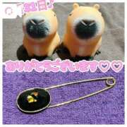 ヒメ日記 2025/08/01 01:20 投稿 ななせ【伝説人気姫奇跡の復帰】 Beppin house