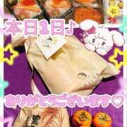 ヒメ日記 2025/11/01 23:50 投稿 ななせ【伝説人気姫奇跡の復帰】 Beppin house